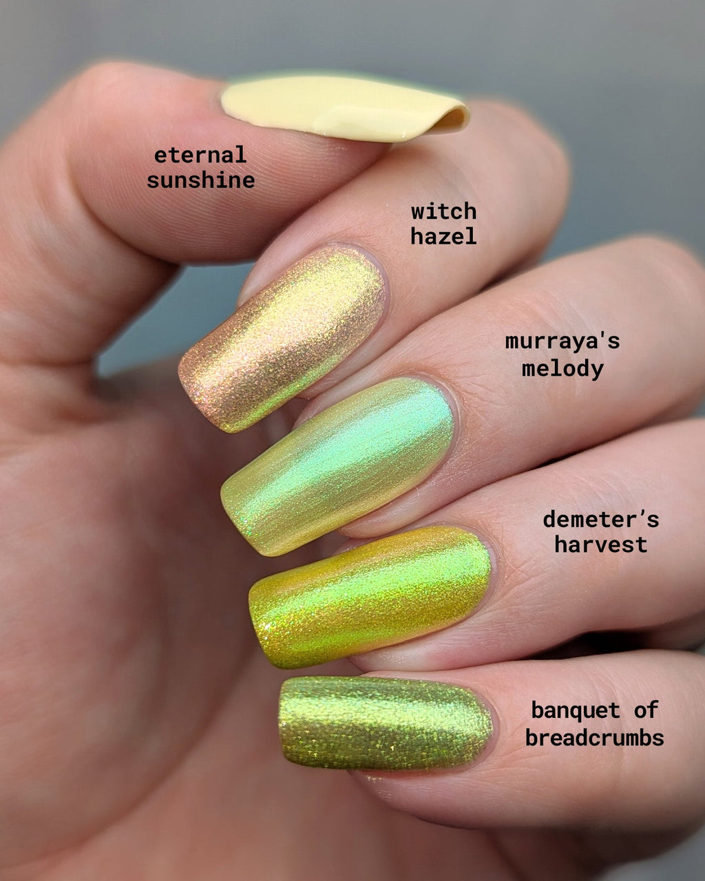 Murraya's Melody